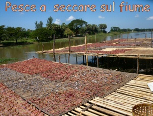 Pesce a seccare sul fiume